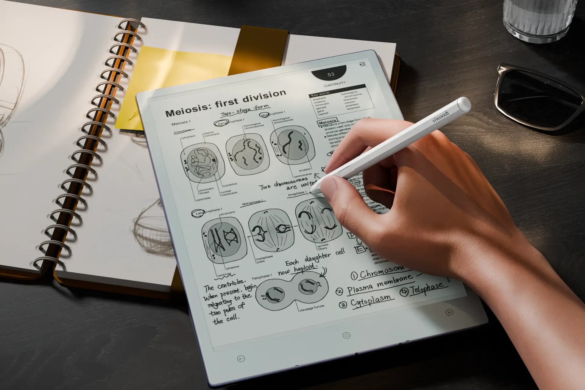 How to Annotate on a PDF