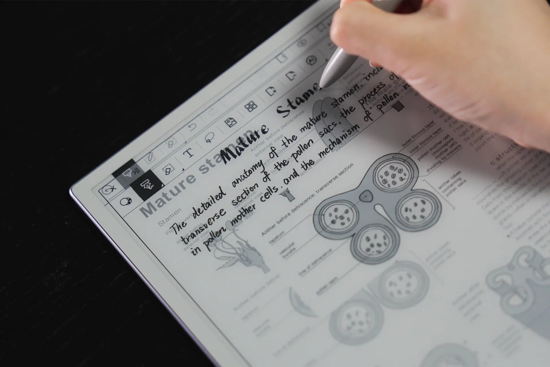 How to Annotate on a PDF
